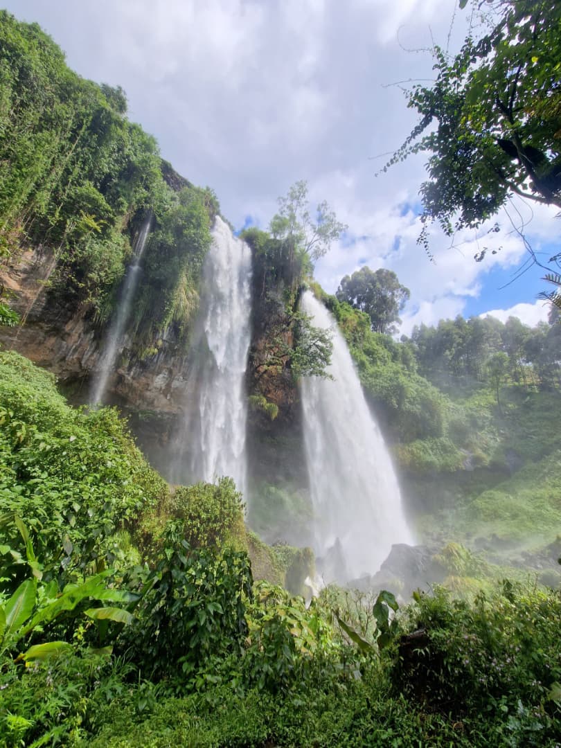 Bwindi Impenetrable Forest